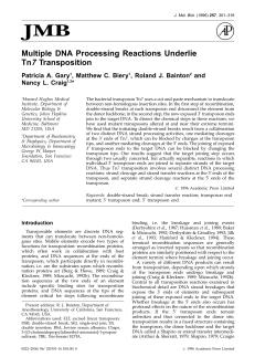 Multiple DNA Processing Reactions Underlie Tn7 Transposition