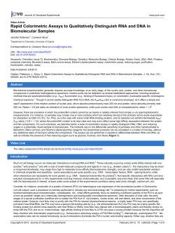 Rapid Colorimetric Assays to Qualitatively Distinguish RNA and