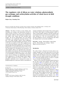 The regulatory role of silicon on water relations, photosynthetic gas