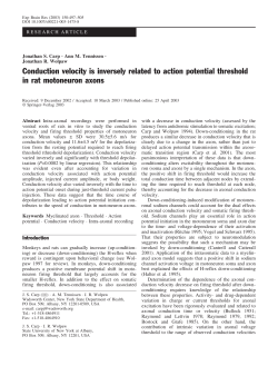 Conduction velocity is inversely related to action potential threshold