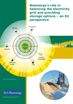 Bioenergy`s role in balancing the electricity grid and