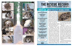 Feb 2012 - Frisky`s Wildlife and Primate Sanctuary, Inc.