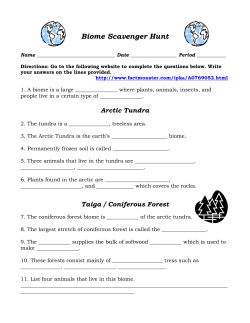 Biome Scavenger Hunt