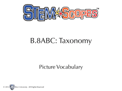 B.8ABC: Taxonomy