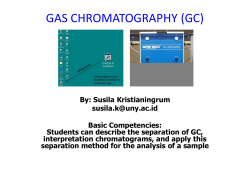 gas chromatography (gc)
