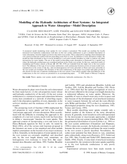 Modelling of the Hydraulic Architecture of Root Systems: An