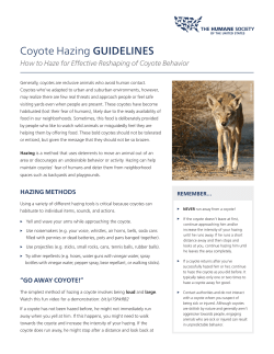 Coyote Hazing GUIDELINES