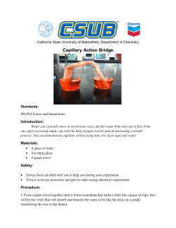 Capillary Action Bridge - California State University, Bakersfield
