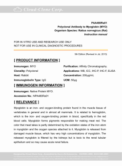 Antibody to Myoglobin (MYO)