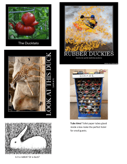 box contents template 1