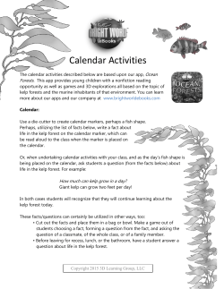 Calendar Activities - Bright World Ebooks