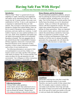 Having Safe Fun With Herps!