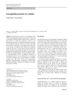 Encephalitozoonosis in rabbits