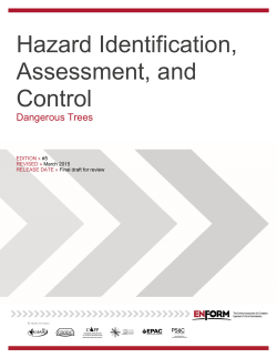 IDG Document Template