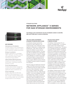 NetApp V-Series for SAN Storage Environments