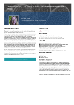 Adult Stem Cells: The Driving Force for Tissue Replenishment and