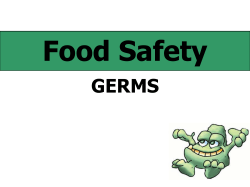 Food Safety
