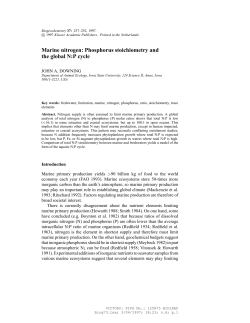 Marine nitrogen: Phosphorus stoichiometry and the global N:P cycle
