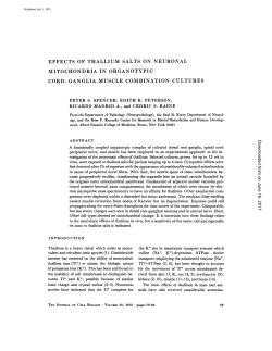 effects of thallium salts on neuronal mitochondria in organotypic cord