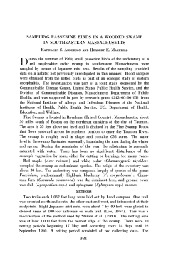 sampling passerine birds in a wooded swamp in southeastern