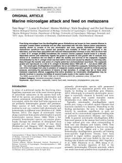 Marine microalgae attack and feed on metazoans