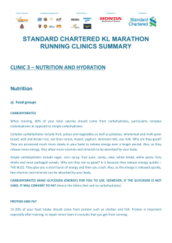 Running Clinic Summary 26 March 2017