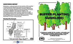 Buffer Planting Guidelines