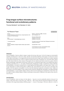 Frog tongue surface microstructures: functional - Beilstein