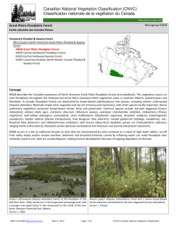Factsheet - Canadian National Vegetation Classification