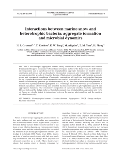 Interactions between marine snow and heterotrophic bacteria