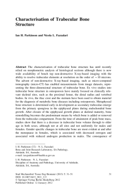 Characterisation of Trabecular Bone Structure
