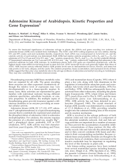 Adenosine Kinase of Arabidopsis. Kinetic