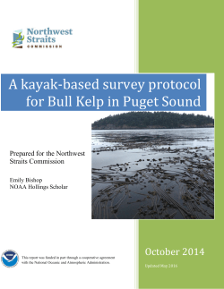 A kayak-based survey protocol for Bull Kelp in Puget Sound