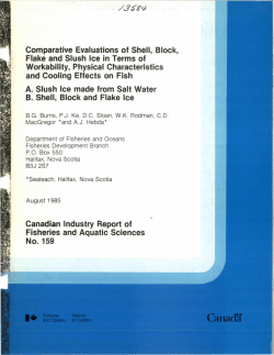 Comparative evaluations of shell, block, flake and slush ice in terms