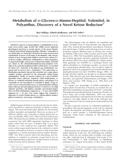 Metabolism of D-Glycero-D-Manno-Heptitol