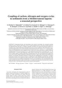 Coupling of carbon, nitrogen and oxygen cycles in sediments from a