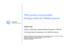 TNA process and possible linkages with the NAMA process g p