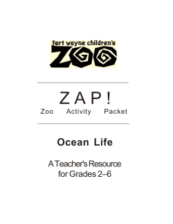 Ocean Life - Fort Wayne Children`s Zoo