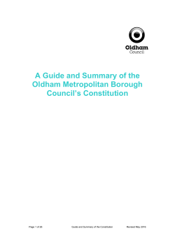 00bGuideandSummaryoftheConstitution.doc