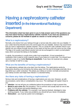 Catheter - Having a nephrostomy catheter inserted