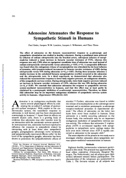 Adenosine Attenuates the Response to Sympathetic Stimuli in