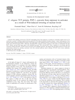 Shetty, P., M-C Lo, S. M. Robertson, and R. Lin