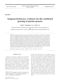 Seagrass herbivory: evidence for the continued