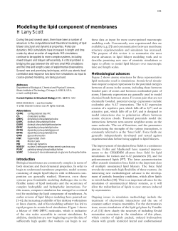 Modeling of Lipid Bilayers