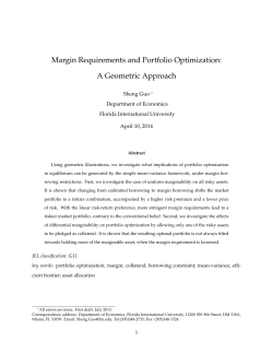 Margin Requirements and Portfolio Optimization: A