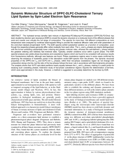 Dynamic Molecular Structure of DPPC-DLPC