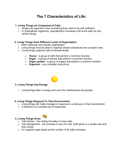 Characteristics of Living Things