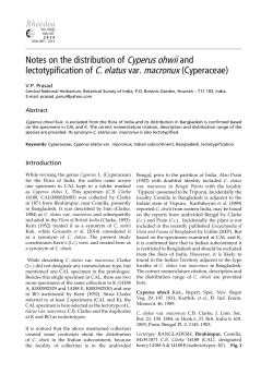 Notes on the distribution of Cyperus ohwii and