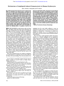 Mechanisms of Amp hi pat h-Induced Stoma tocytosi