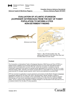 2013/047 - Vagues/Waves